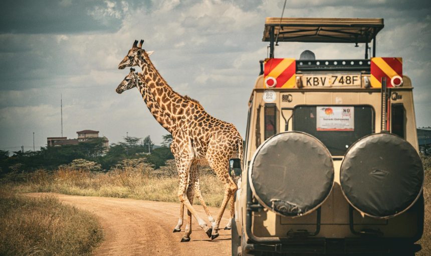 KWS Proposes First National Park Fee Increase in 18 Years – Public Input Invited